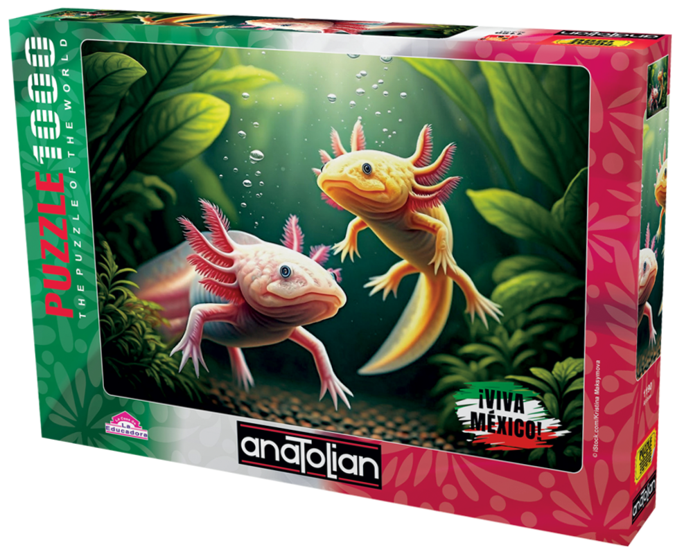 Viva México, Ajolotes: Rompecabezas de 1000 piezas. Anatolian