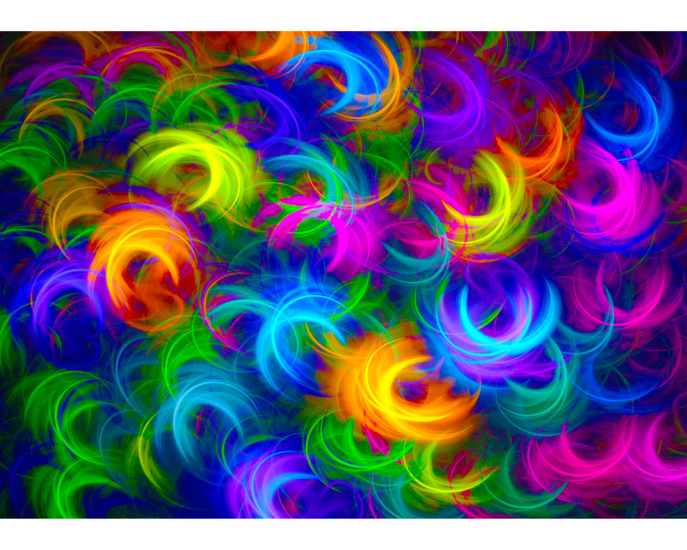 Plumas de Neón: Rompecabezas 1000 Piezas Enjoy Puzzle