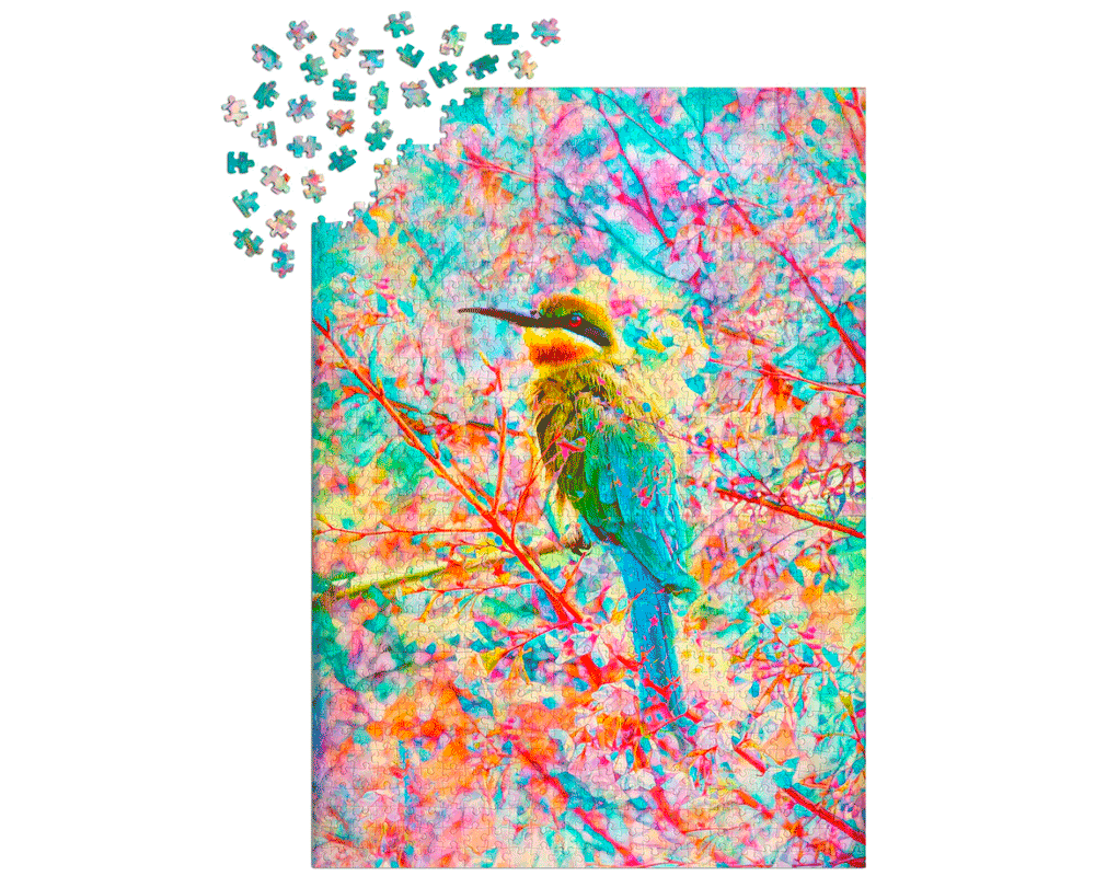 Pájaro Feliz: Rompecabezas 1000 Piezas Enjoy Puzzle