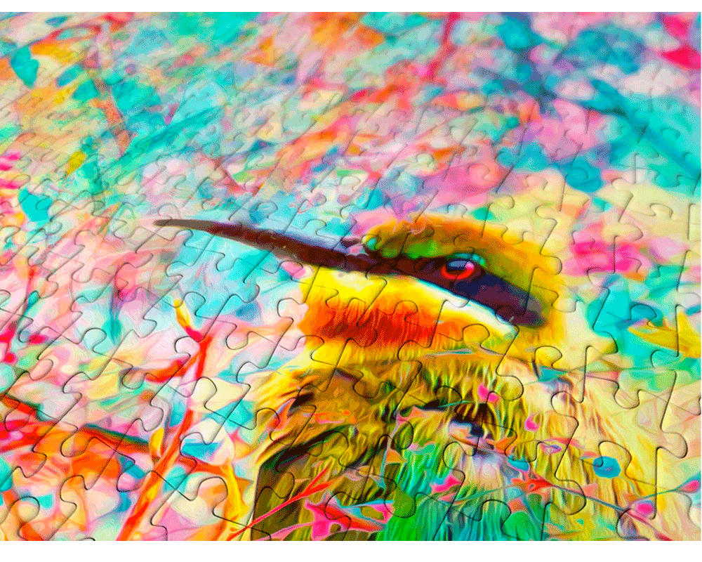 Pájaro Feliz: Rompecabezas 1000 Piezas Enjoy Puzzle