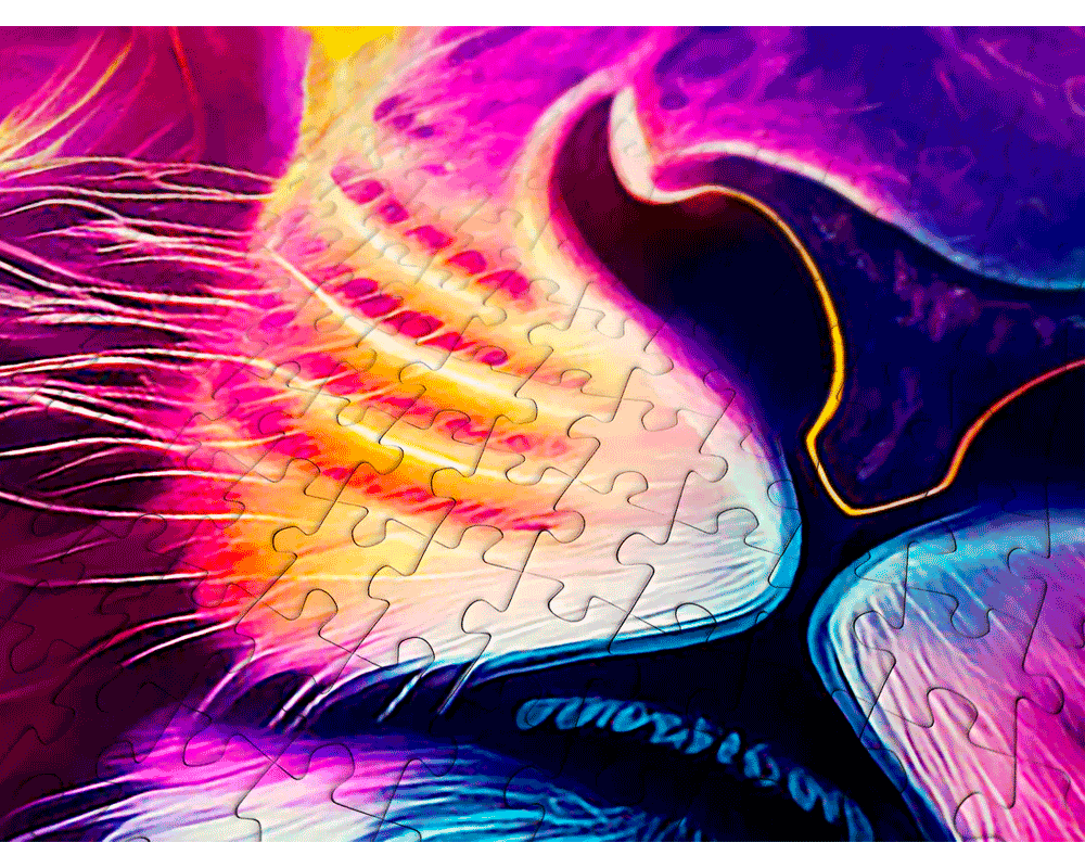 Su majestad - El León: Rompecabezas 1000 Piezas Enjoy Puzzle