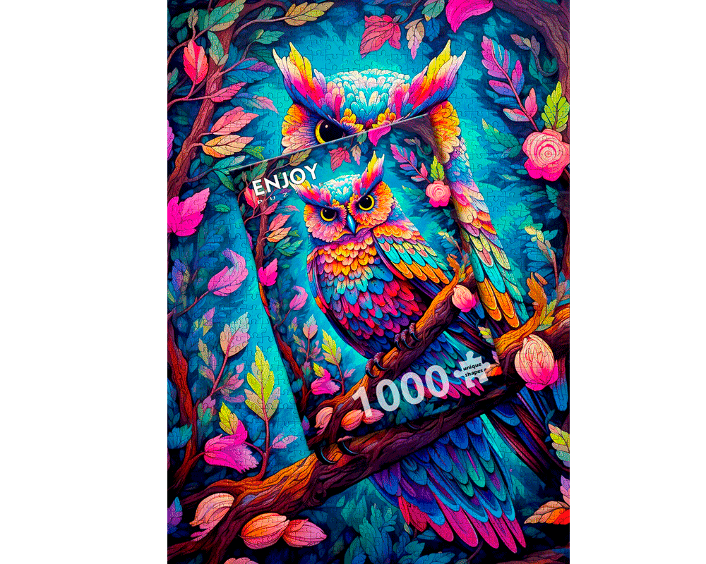Búho de Colores: Rompecabezas 1000 Piezas Enjoy Puzzle