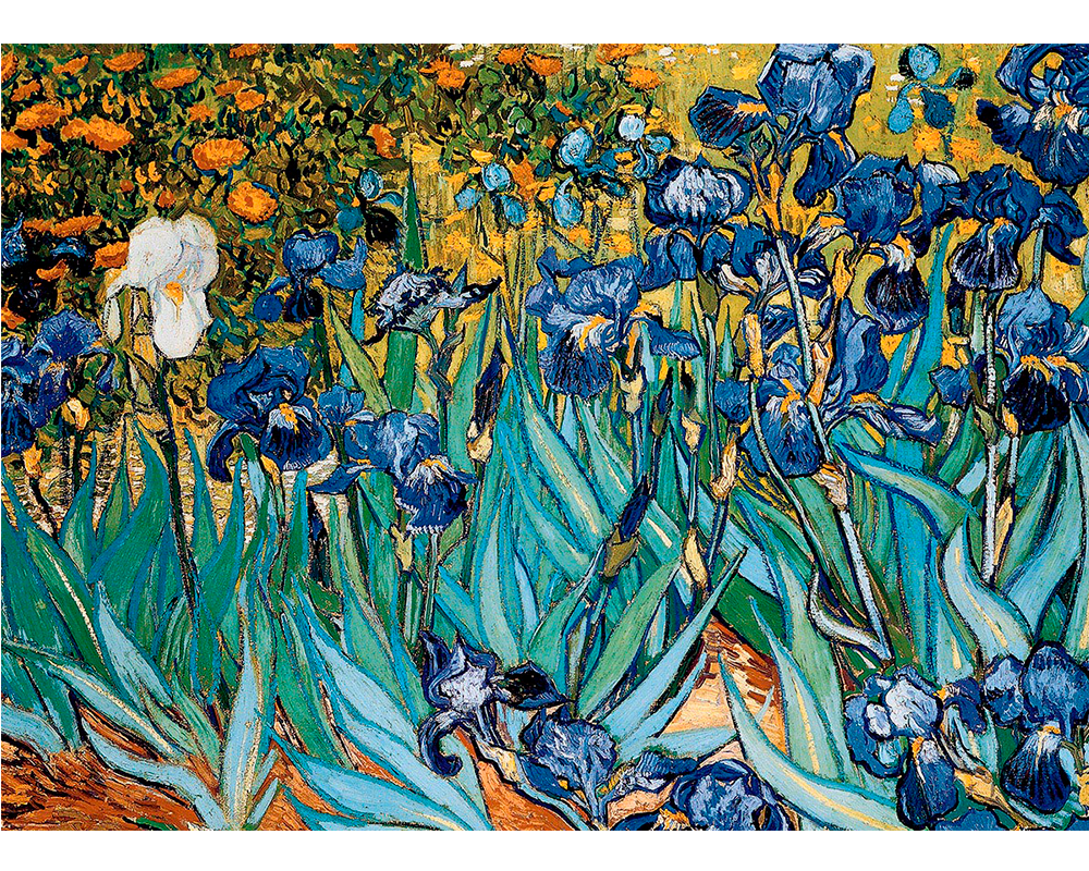 Flores de Iris- Vincent Van Gogh: Rompecabezas de Arte 1000 Piezas Eurographics