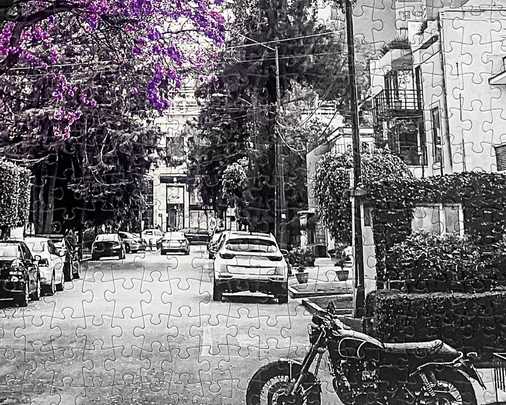 Viva México Jacarandas, Ciudad de México Rompecabezas 1000 Piezas Anatolian