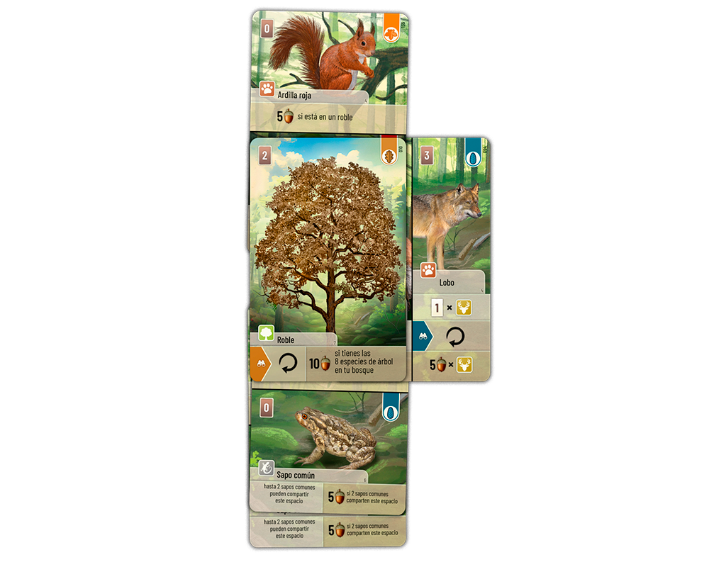 Forest Shuffle - Juego de Mesa en Español. Asmodee
