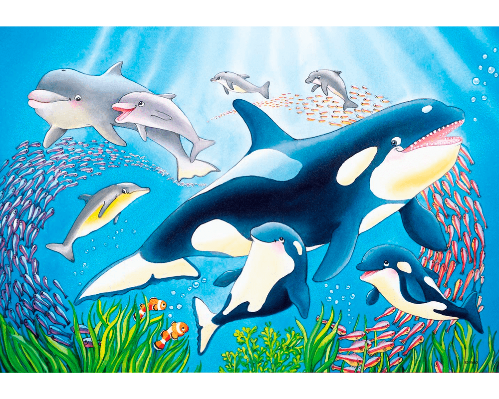 Debajo del Mar: Rompecabezas 2 x 24 Piezas Ravensburger