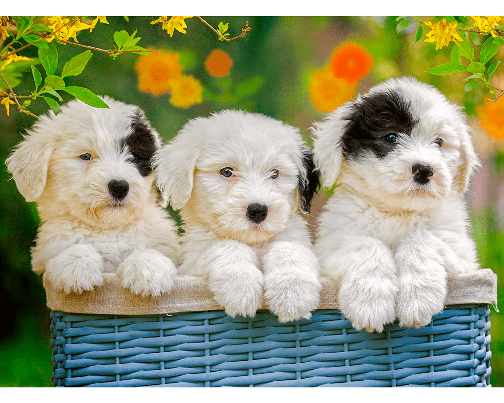 Tiernos Cachorros: Rompecabezas 200 Piezas XXL Ravensburger