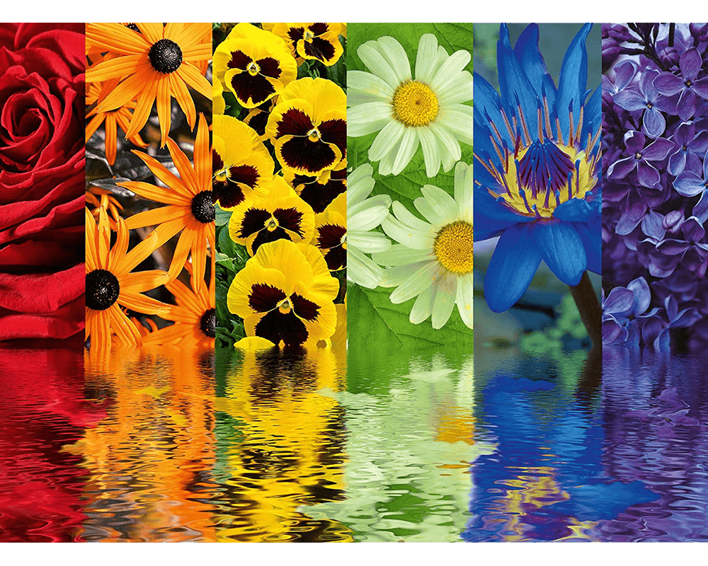 Reflejos Florales: Rompecabezas 500 Piezas Ravensburger