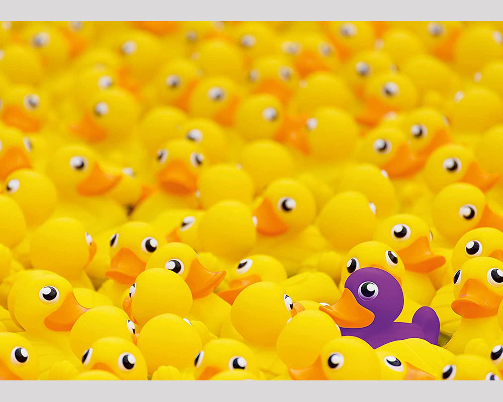 Patos y más Patos Rompecabezas 1000 Piezas Ravensburger