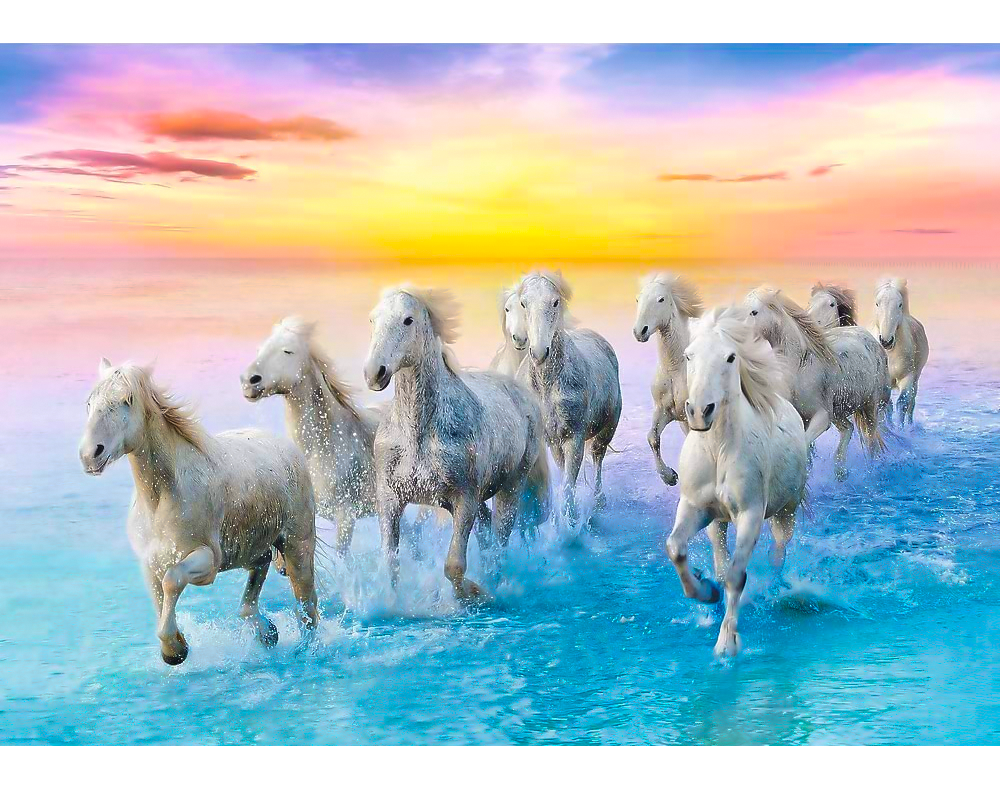 Caballos Galopando: Rompecabezas 500 Piezas Trefl