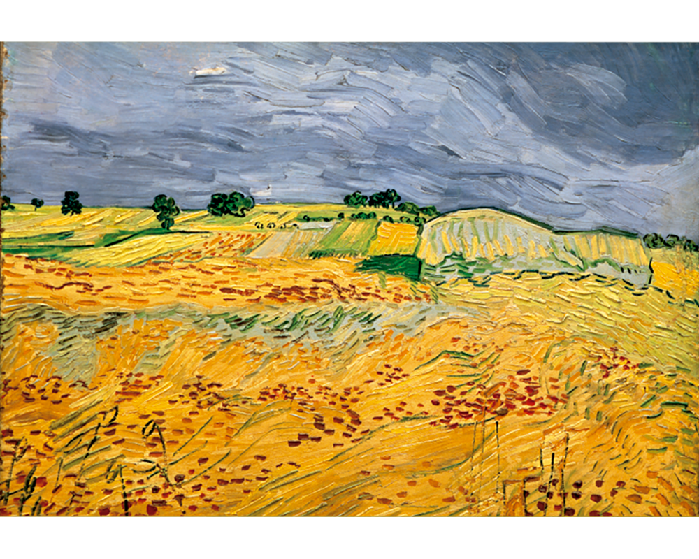 Van Gogh - Campos de Trigo: Rompecabezas 1000 Piezas Ricordi