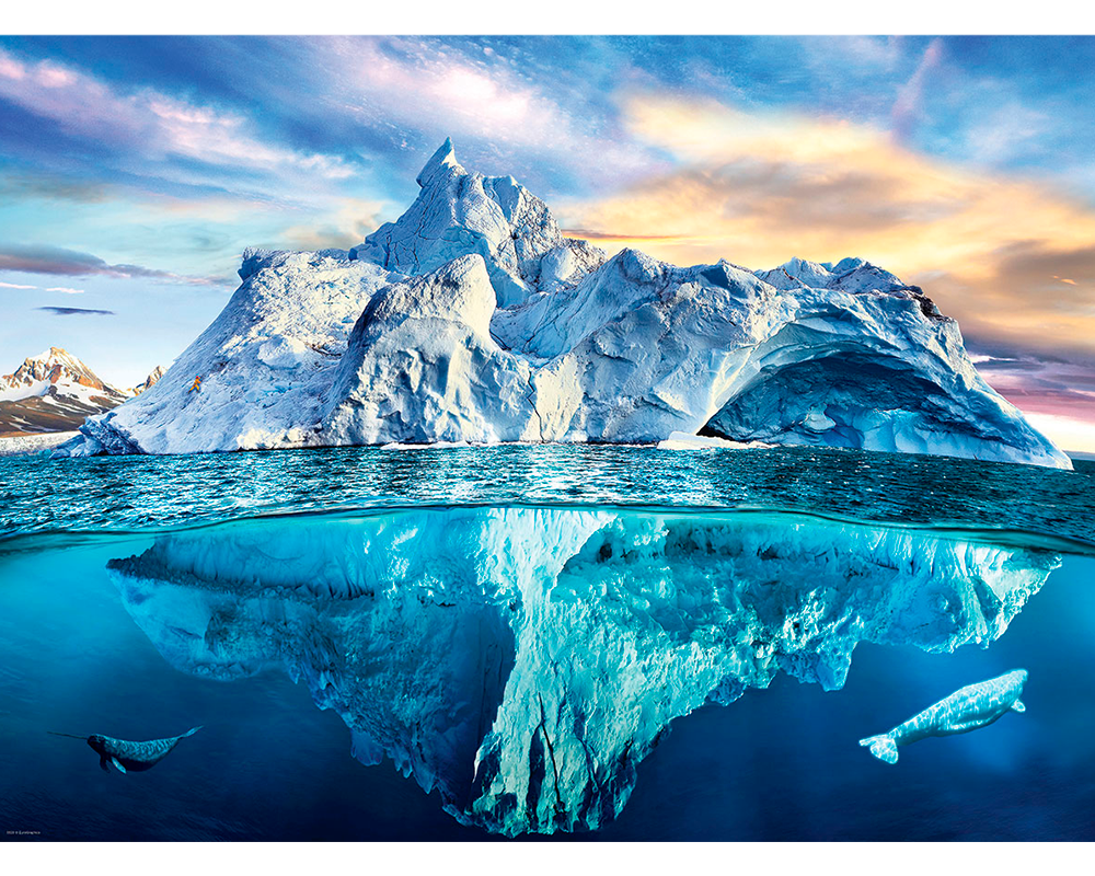 Ártico: Rompecabezas 1000 Piezas Eurographics