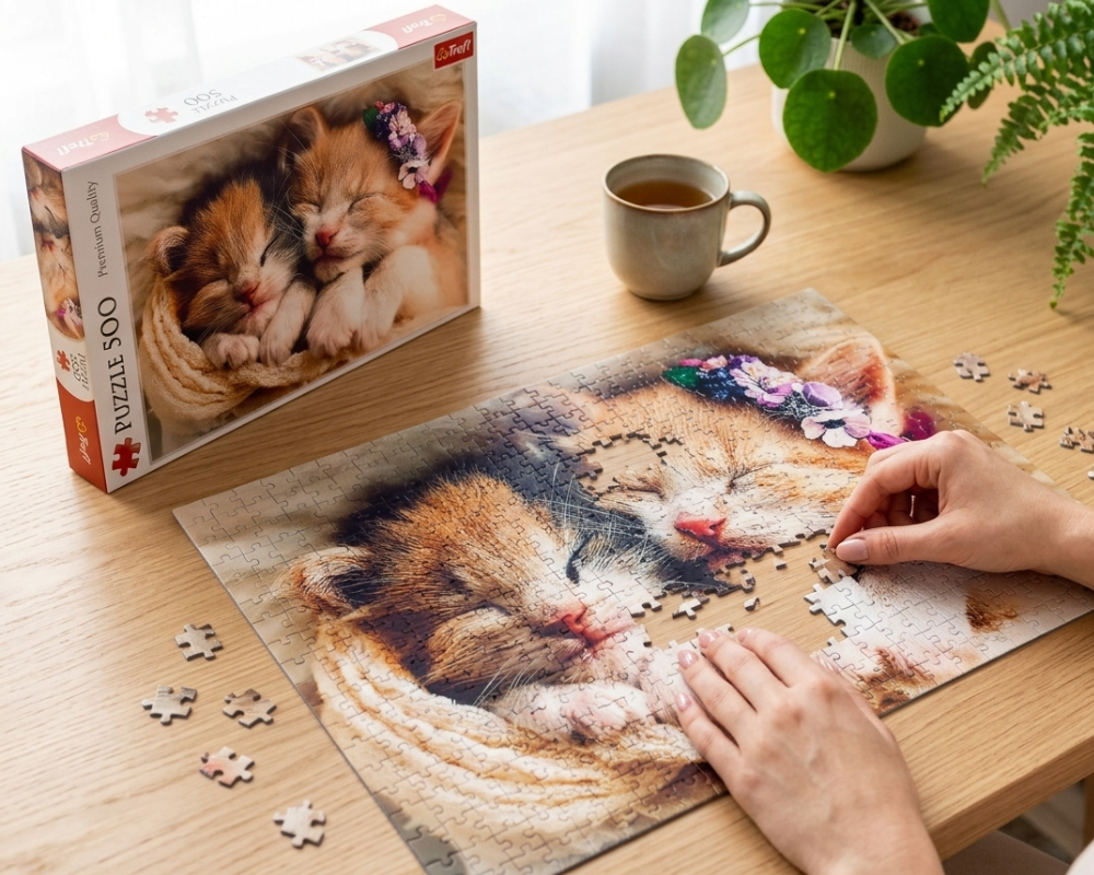Gatitos Durmiendo: Rompecabezas 500 Piezas Trefl