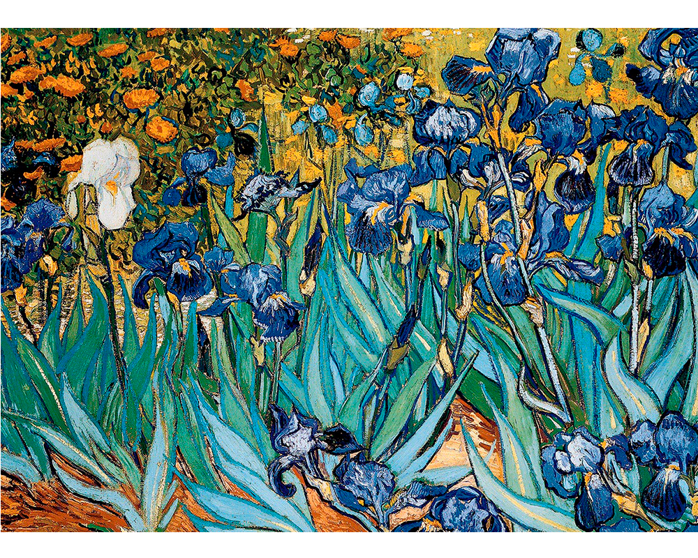 Flores de Iris, Vincent Van Gogh: Rompecabezas de Arte 1000 Piezas Eurographics