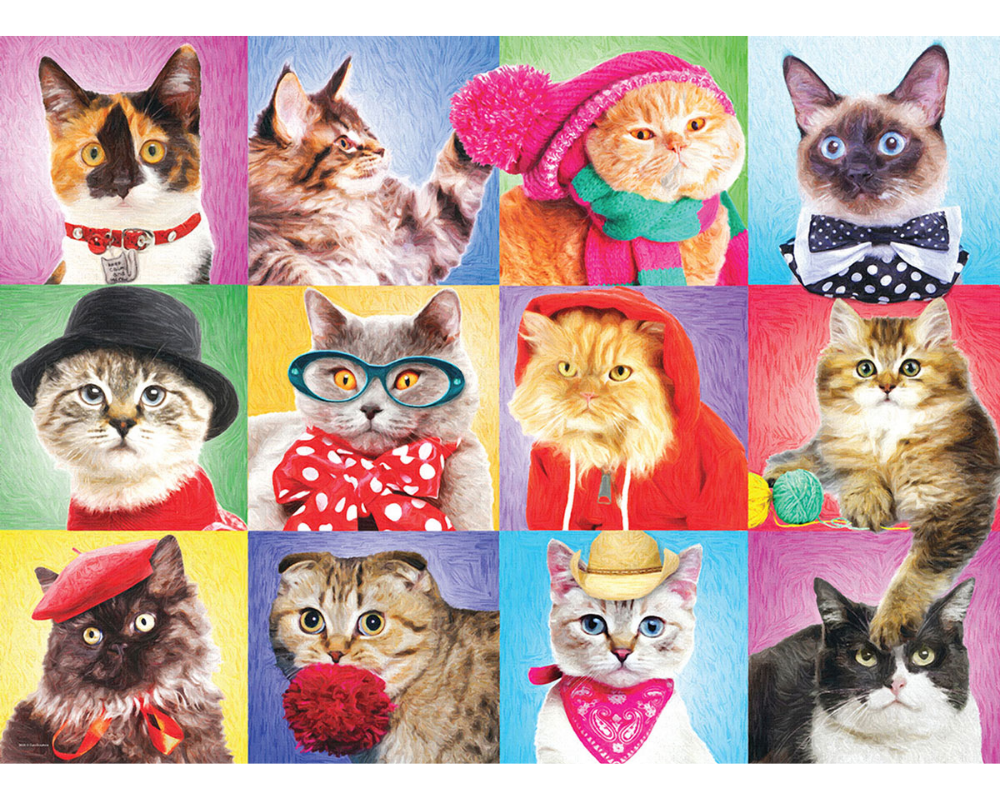 Gatos Rompecabezas 300 Piezas XL Eurographics