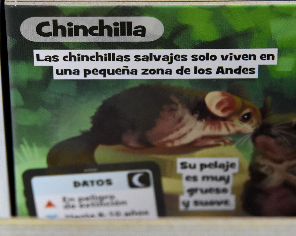 Brainbox animales: Juego de Mesa Asmodee