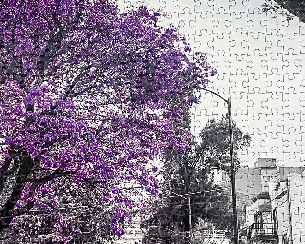 Viva Mexico Jacarandas Ciudad de Mexico Rompecabezas 1000 Piezas Anat