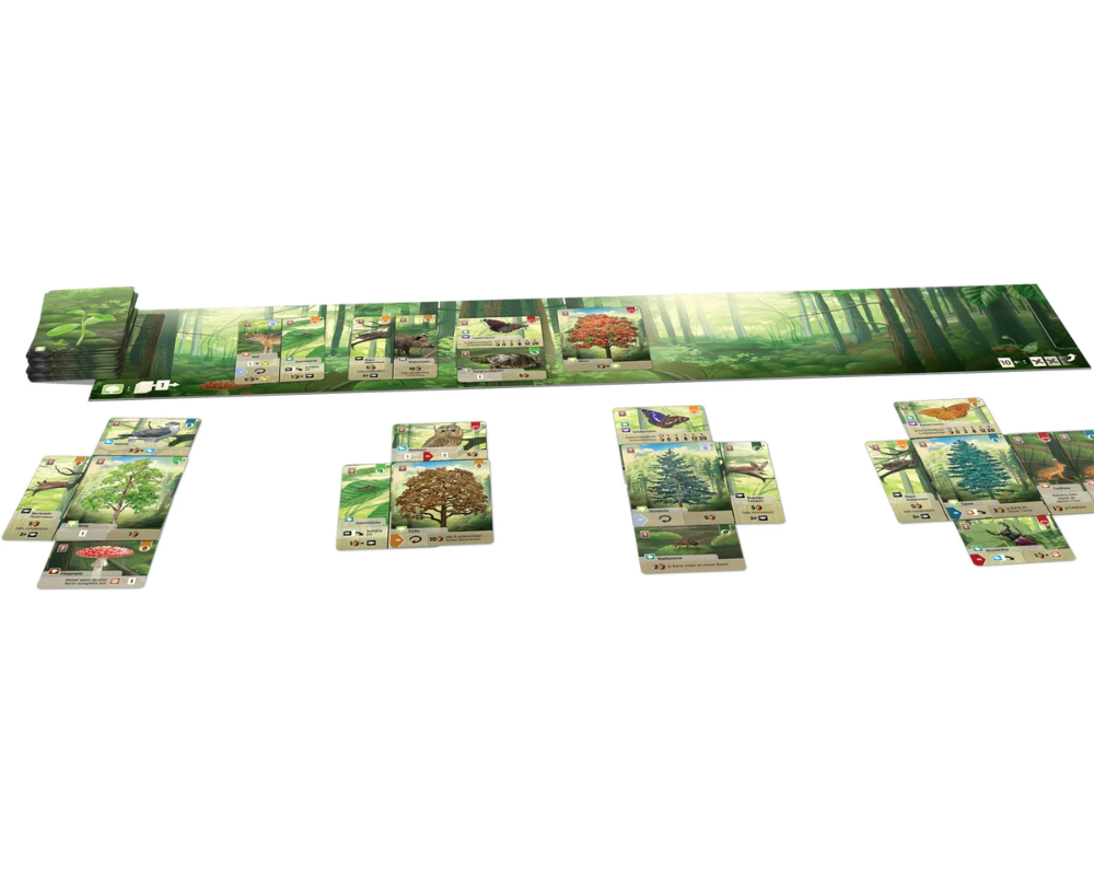 Forest Shuffle - Juego de Mesa en Español. Asmodee