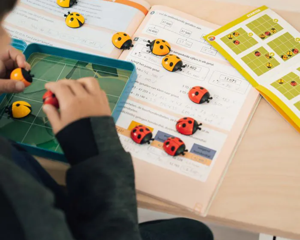 LOGIBUGS. Juego de Lógica Smart Games