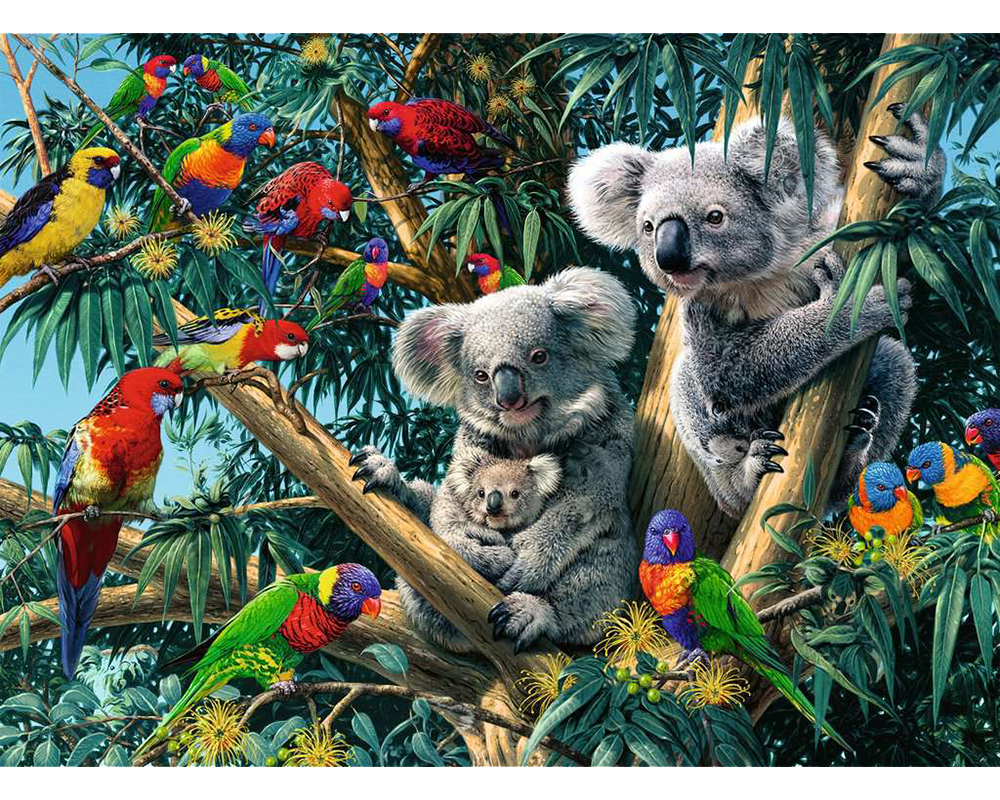 Koalas en el Árbol: Rompecabezas 500 Piezas Ravensburger