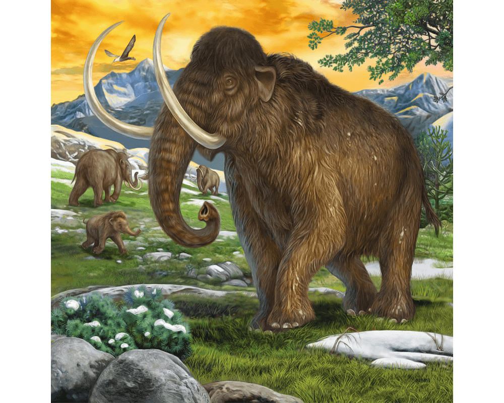 Animales Prehistóricos: 3 Rompecabezas 49 Piezas Ravensburger